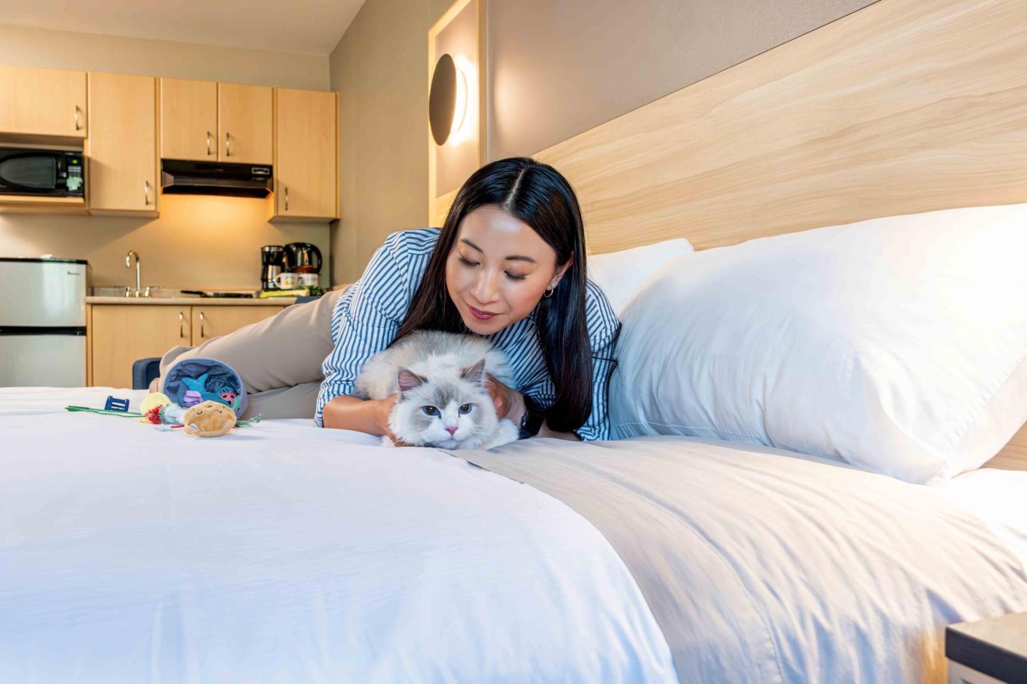 Accent Hotel 3*